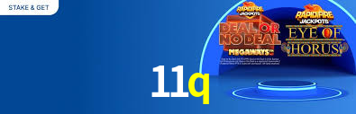 11q