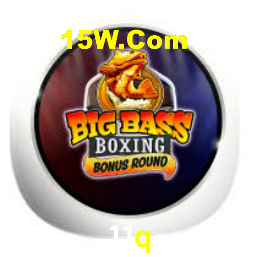 11q.com